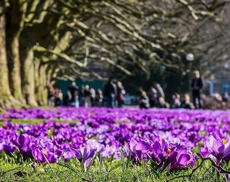 Apartment Janosik Stettin