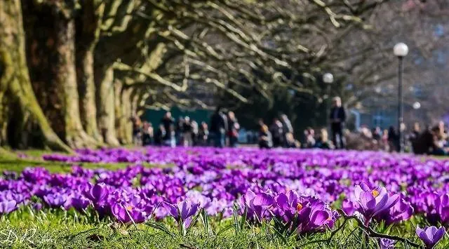 アパート Janosik シュチェチン